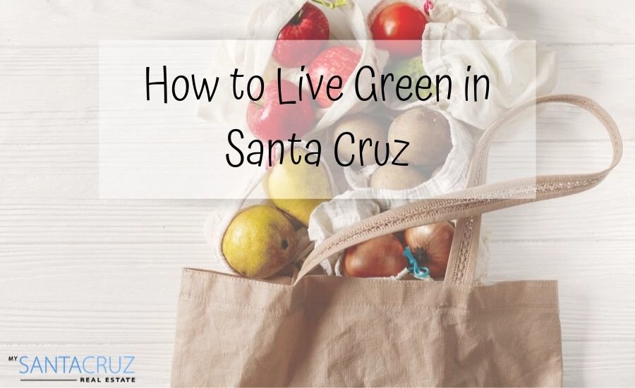 how to live green in Santa Cruz